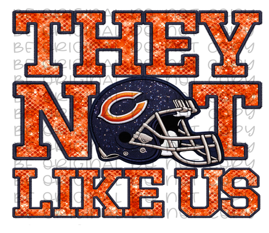 DTF Transfer • Chicago Football • They Not Like Us (sequins)